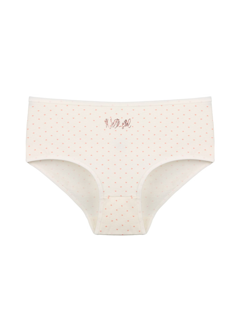 Donella 2581B28 Assorted 10-Pack Women's Briefs — Istanbul wholesale supplier