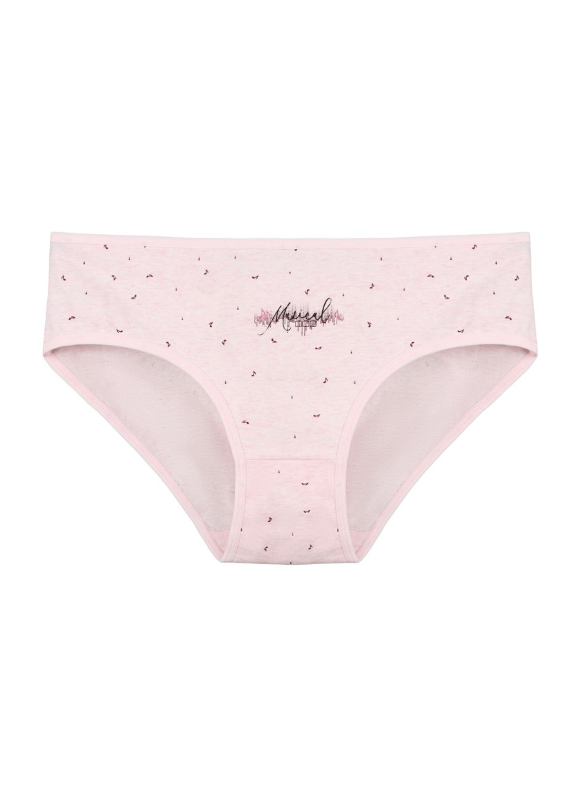 Donella 3181B23 Assorted 10-Pack Women's Briefs — wholesale for boutiques