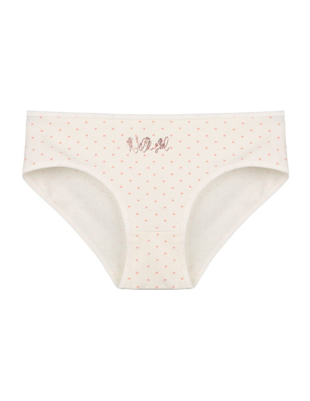 Donella 3181B28 Assorted 10-Pack Women's Briefs — direct Turkish factory supply