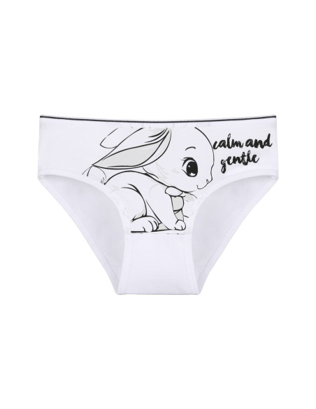 Donella 4171PB112 Assorted 10-Pack Girls' Briefs — factory-direct from Turkey