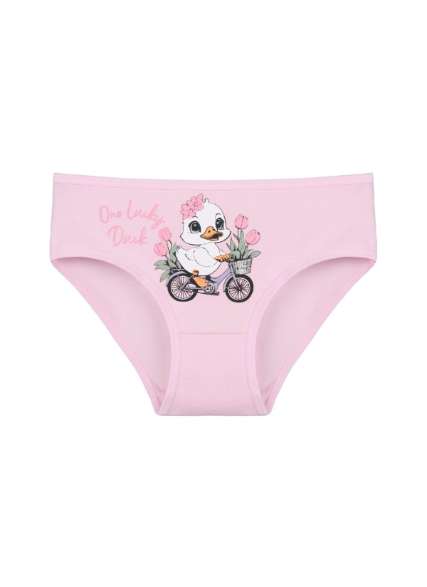 Donella 4171PB134 Assorted 10-Pack Girls' Briefs — Istanbul wholesale supplier 2