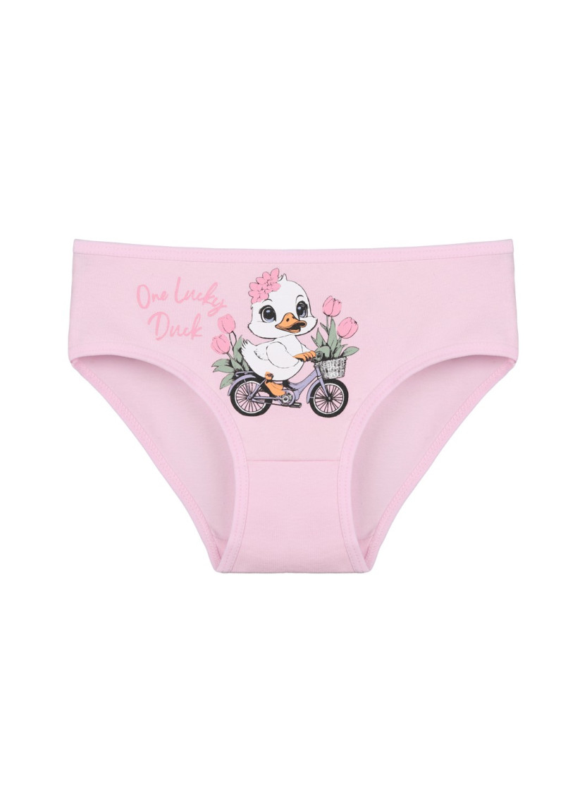 Donella 4171PB134 Assorted 10-Pack Girls' Briefs — wholesale for boutiques