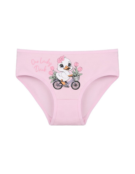 Donella 4171PB134 Assorted 10-Pack Girls' Briefs — wholesale for boutiques