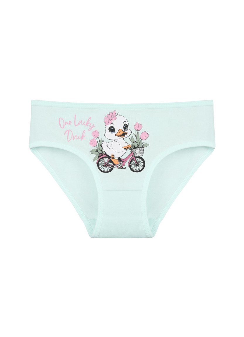 Donella 4171PB134 Assorted 10-Pack Girls' Briefs — Turkey wholesale collection