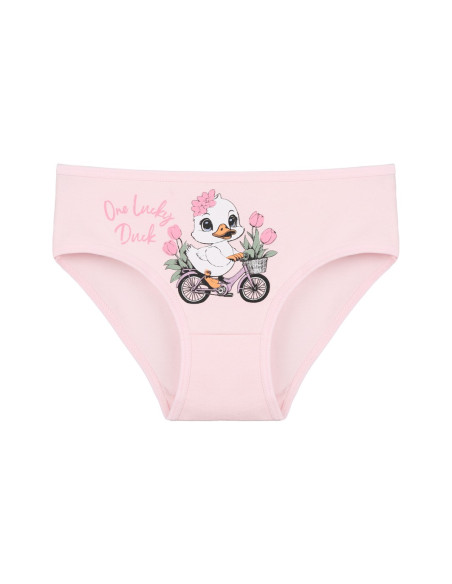 Donella 4171PB134 Assorted 10-Pack Girls' Briefs — Turkish factory wholesale