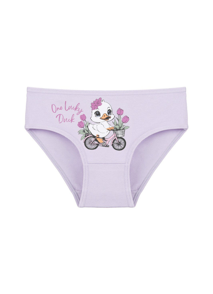 Donella 4171PB134 Assorted 10-Pack Girls' Briefs — Istanbul wholesale supplier