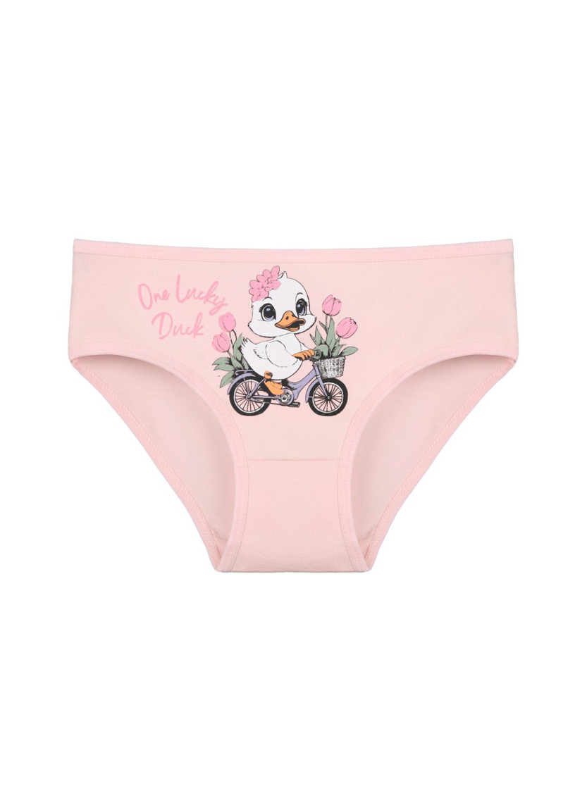 Donella 4171PB134 Assorted 10-Pack Girls' Briefs — wholesale for boutiques