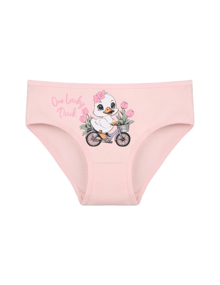Donella 4171PB134 Assorted 10-Pack Girls' Briefs — wholesale for boutiques