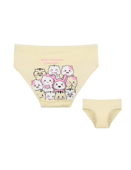 Donella 4171PB142 Assorted 10-Pack Girls' Briefs — wholesale for boutiques