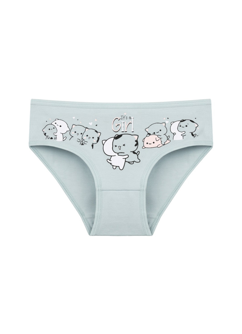 Donella 4171PB78 Assorted 10-Pack Girls' Briefs — wholesale for boutiques
