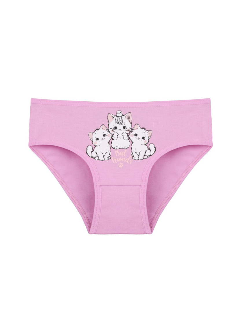 Donella 4171PB82 Assorted 10-Pack Girls' Briefs — wholesale for boutiques