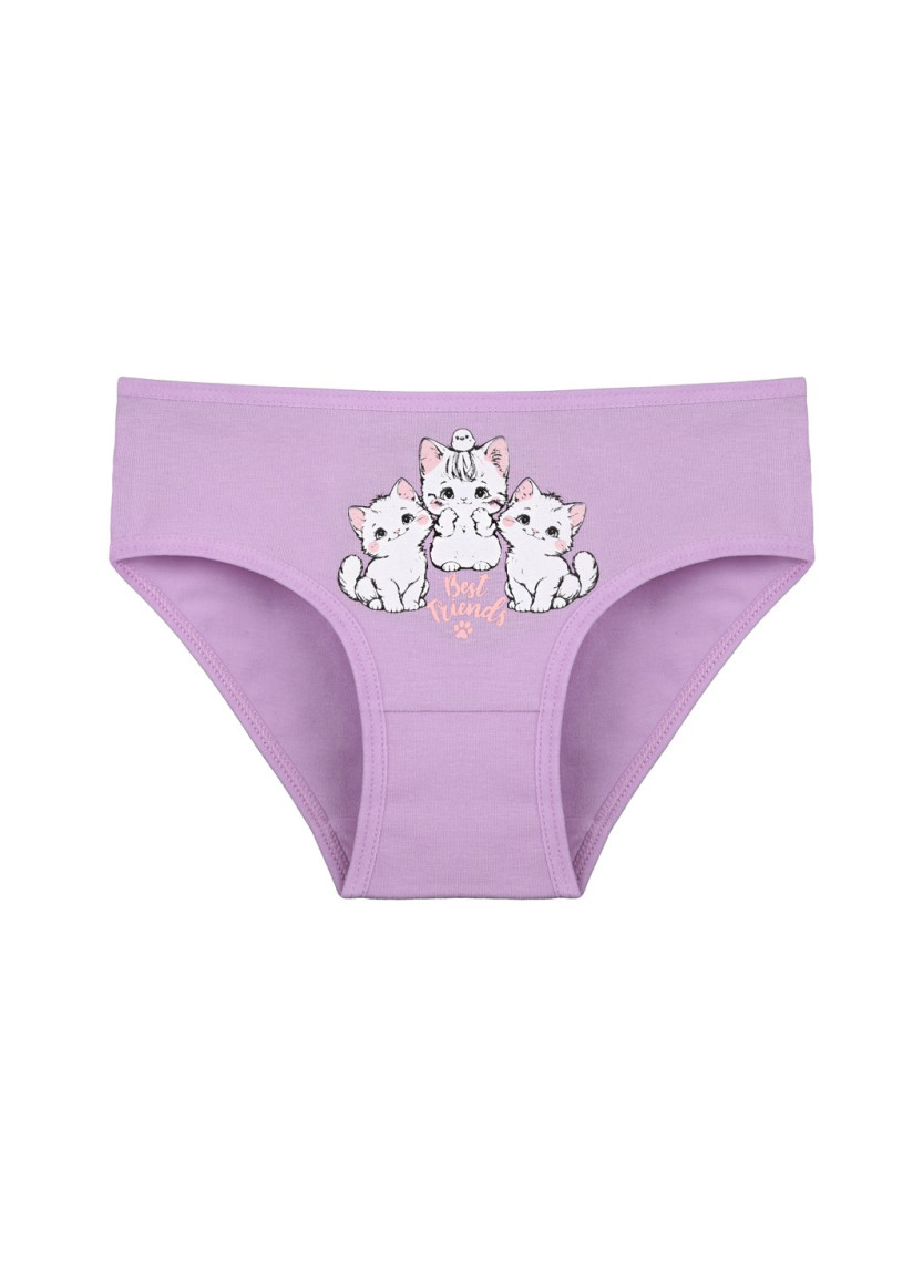 Donella 4171PB82 Assorted 10-Pack Girls' Briefs — wholesale for boutiques