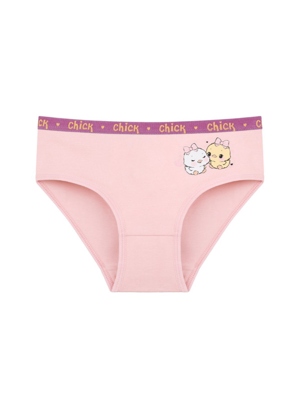 Donella 4171PB87 Assorted 10-Pack Girls' Briefs — Turkish factory wholesale 2