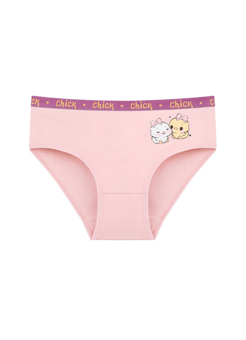Donella 4171PB87 Assorted 10-Pack Girls' Briefs — Istanbul wholesale supplier