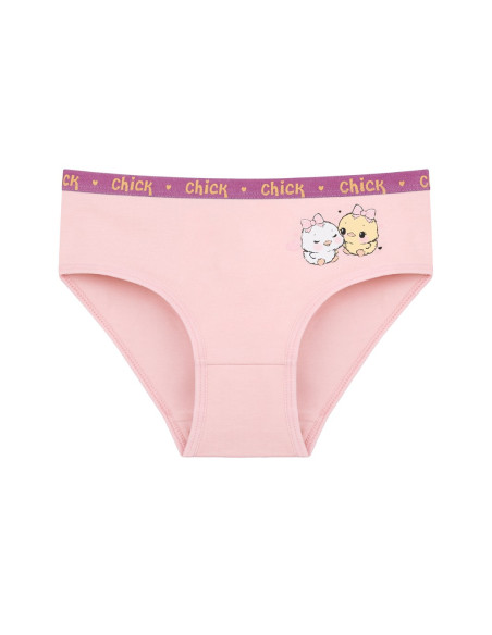 Donella 4171PB87 Assorted 10-Pack Girls' Briefs — Istanbul wholesale supplier
