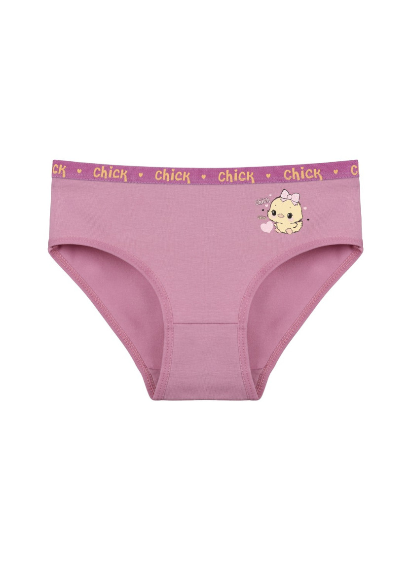 Donella 4171PB87 Assorted 10-Pack Girls' Briefs — Turkish factory wholesale