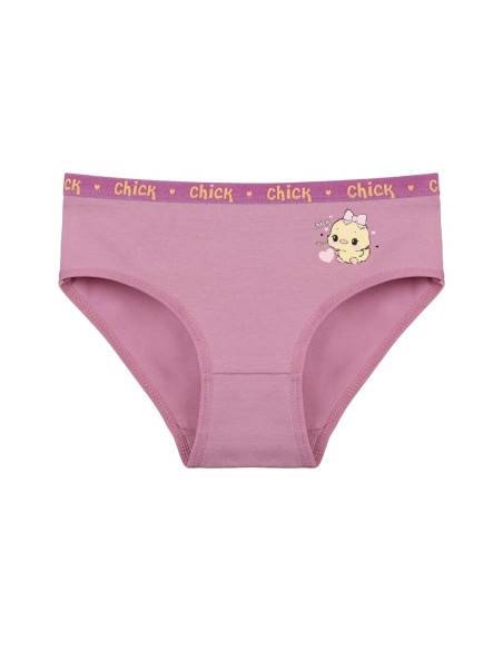 Donella 4171PB87 Assorted 10-Pack Girls' Briefs — Turkish factory wholesale
