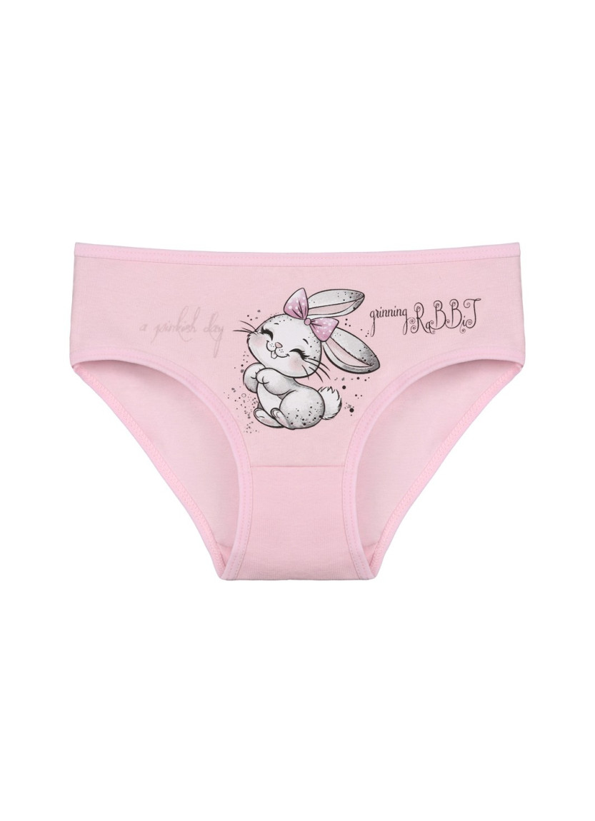 Donella 4171PB92 Assorted 10-Pack Girls' Briefs — wholesale from Turkey