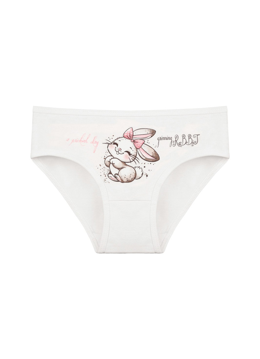 Donella 4171PB92 Assorted 10-Pack Girls' Briefs — Turkish textile wholesale