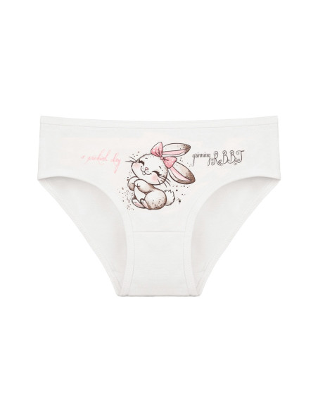Donella 4171PB92 Assorted 10-Pack Girls' Briefs — Turkish textile wholesale