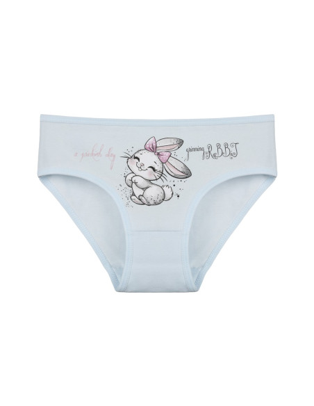 Donella 4171PB92 Assorted 10-Pack Girls' Briefs — direct Turkish factory supply