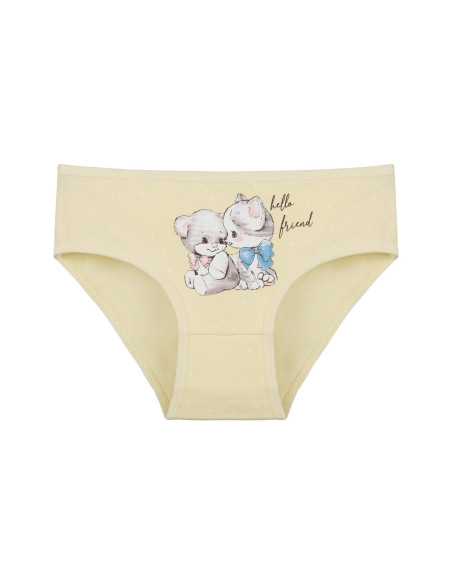 Donella 4181B35 Assorted 10-Pack Girls' Briefs — wholesale for boutiques