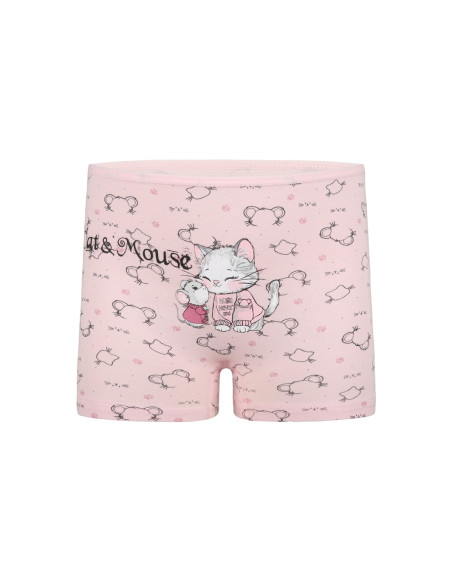 Donella 4281B32 Assorted 10-Pack Girls' Briefs — Turkish textile wholesale