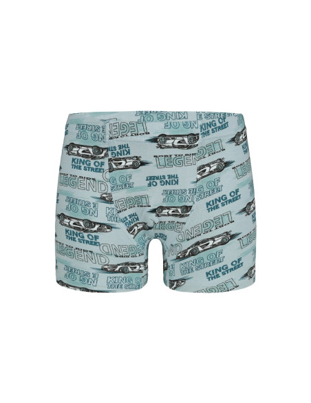 Трусы Боксеры для Мальчиков Boxer (Ассорти) 10 шт/уп Donella 758107 — оптом от турецкой фабрики