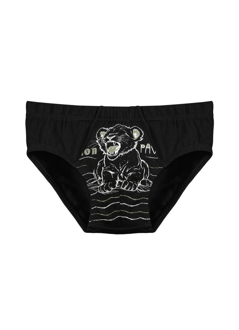 Donella 7671SB2 Assorted 10-Pack Women's Briefs — Turkish factory wholesale