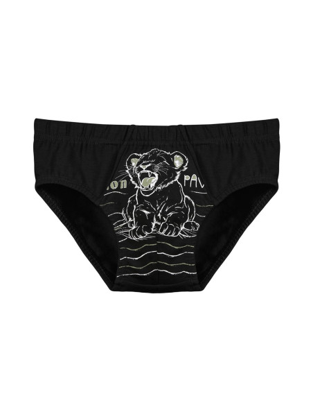 Donella 7671SB2 Assorted 10-Pack Women's Briefs — Turkish factory wholesale