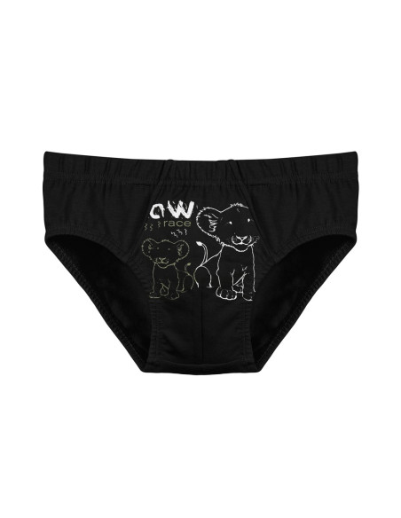 Donella 7671SB2 Assorted 10-Pack Women's Briefs — Turkey wholesale collection