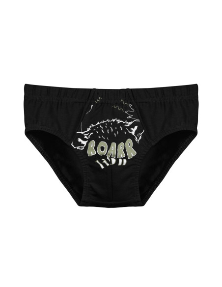 Donella 7671SB2 Assorted 10-Pack Women's Briefs — Turkish factory wholesale