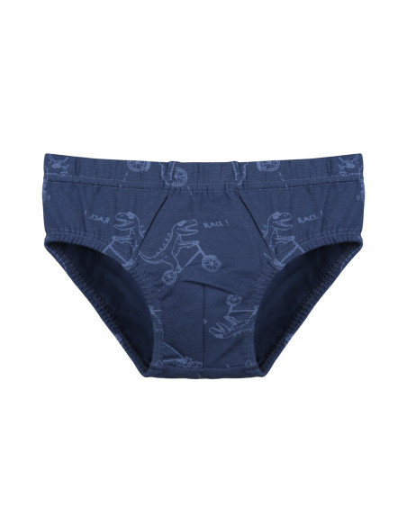Donella 768117 Assorted 10-Pack Women's Briefs — Turkey wholesale collection