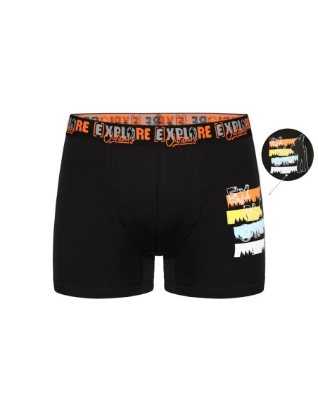 Donella 8071PB41 Assorted 10-Pack Boys' Boxer Briefs — Turkey wholesale collection