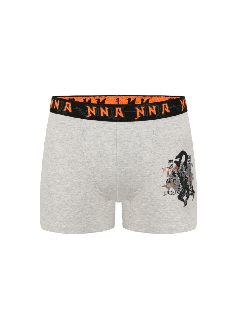 Трусы Боксеры для Мальчиков Boxer (Ассорти) 10 шт/уп Donella 8371PB23 — оптом от турецкой фабрики