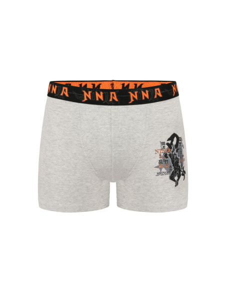 Трусы Боксеры для Мальчиков Boxer (Ассорти) 10 шт/уп Donella 8371PB23 — оптом от турецкой фабрики