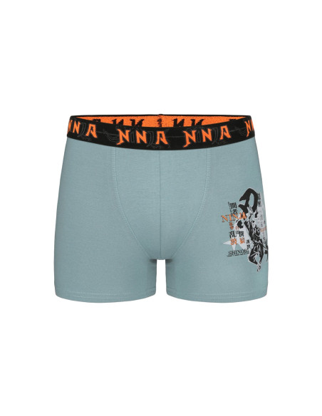 Трусы Боксеры для Мальчиков Boxer (Ассорти) 10 шт/уп Donella 8371PB23 — купить оптом со Стамбула