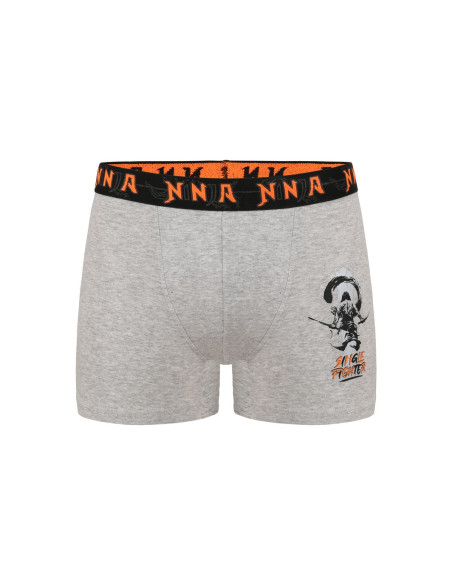 Трусы Боксеры для Мальчиков Boxer (Ассорти) 10 шт/уп Donella 8371PB23 — фабричная коллекция оптом