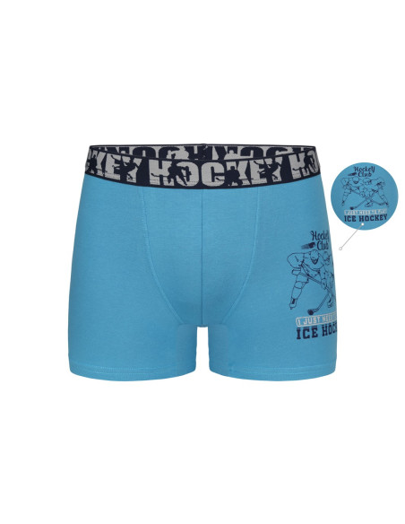Donella 8371PB42 Assorted 10-Pack Boys' Boxer Briefs — Turkish textile wholesale