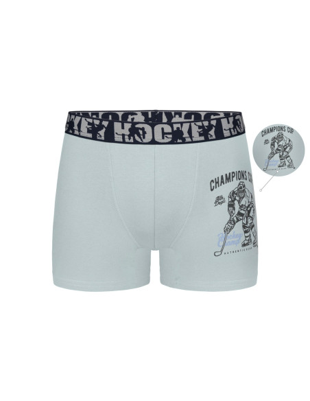 Трусы Боксеры для Мальчиков Boxer (Ассорти) 10 шт/уп Donella 8371PB42 — оптовая поставка из Турции