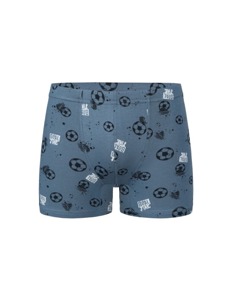 Трусы Боксеры для Мальчиков Boxer (Ассорти) 10 шт/уп Donella 858113 — турецкий текстиль оптом