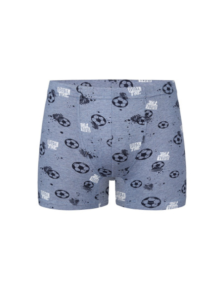 Трусы Боксеры для Мальчиков Boxer (Ассорти) 10 шт/уп Donella 858113 — купить оптом из Турции