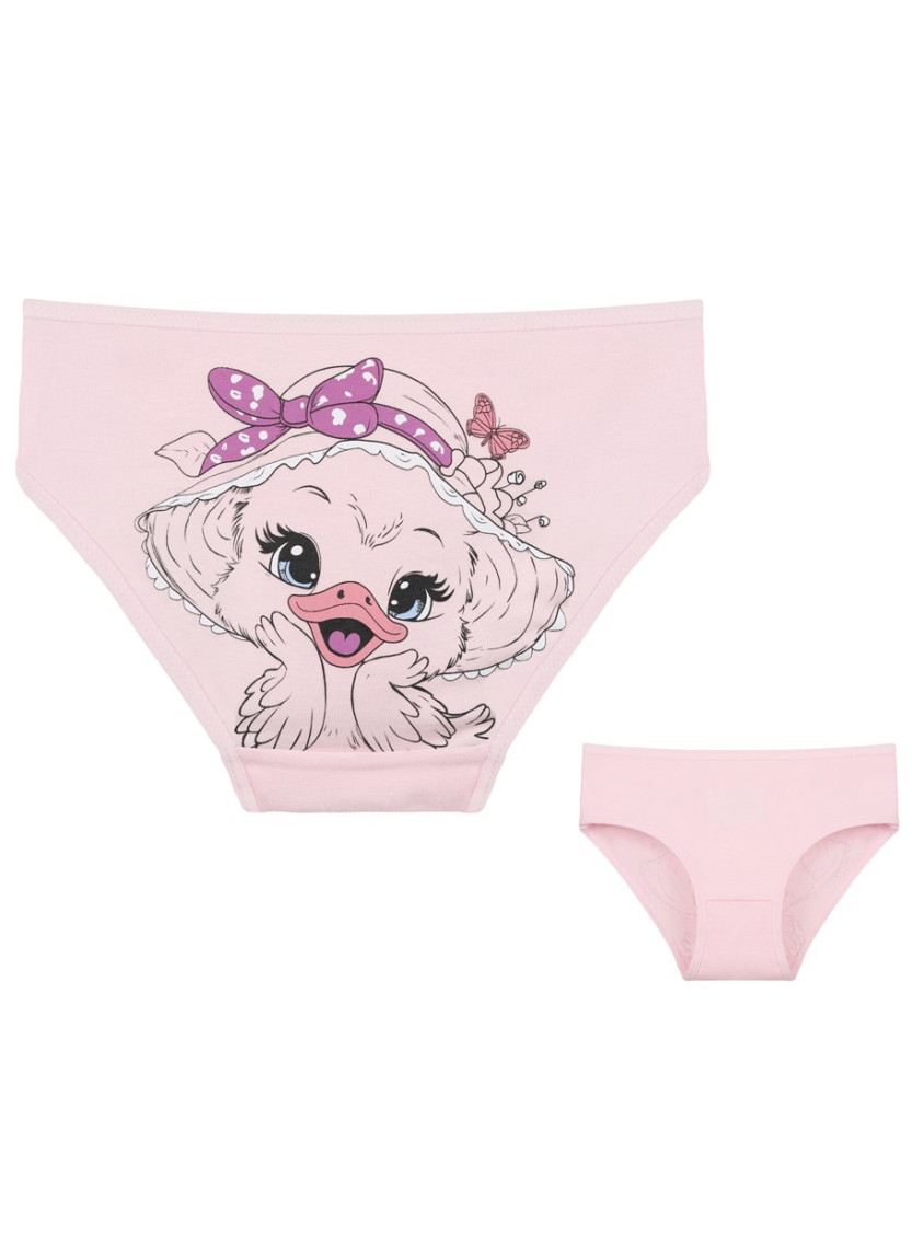 Donella 4171PB132 Assorted 10-Pack Girls' Briefs — Istanbul wholesale supplier