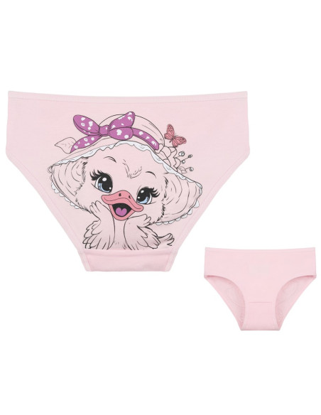 Donella 4171PB132 Assorted 10-Pack Girls' Briefs — Istanbul wholesale supplier