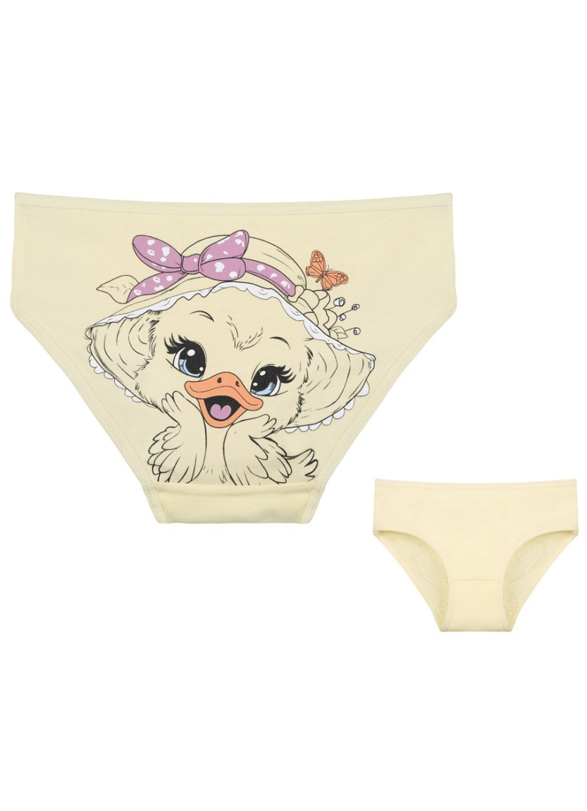 Donella 4171PB132 Assorted 10-Pack Girls' Briefs — wholesale for boutiques