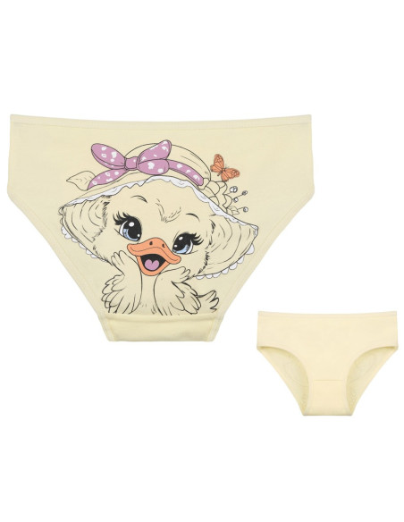 Donella 4171PB132 Assorted 10-Pack Girls' Briefs — wholesale for boutiques