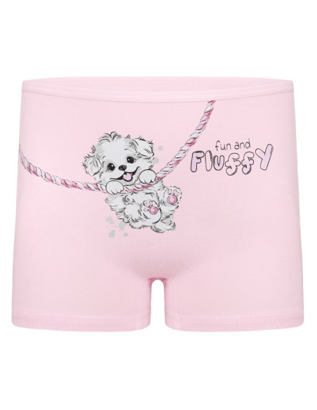 Donella 4271PB127 Assorted 10-Pack Girls' Briefs — Turkish textile wholesale