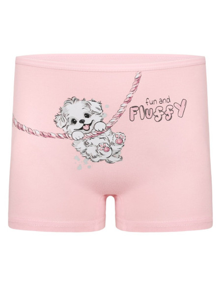 Donella 4271PB127 Assorted 10-Pack Girls' Briefs — wholesale from Turkey