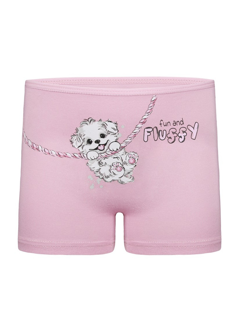 Donella 4271PB127 Assorted 10-Pack Girls' Briefs — factory-direct from Turkey