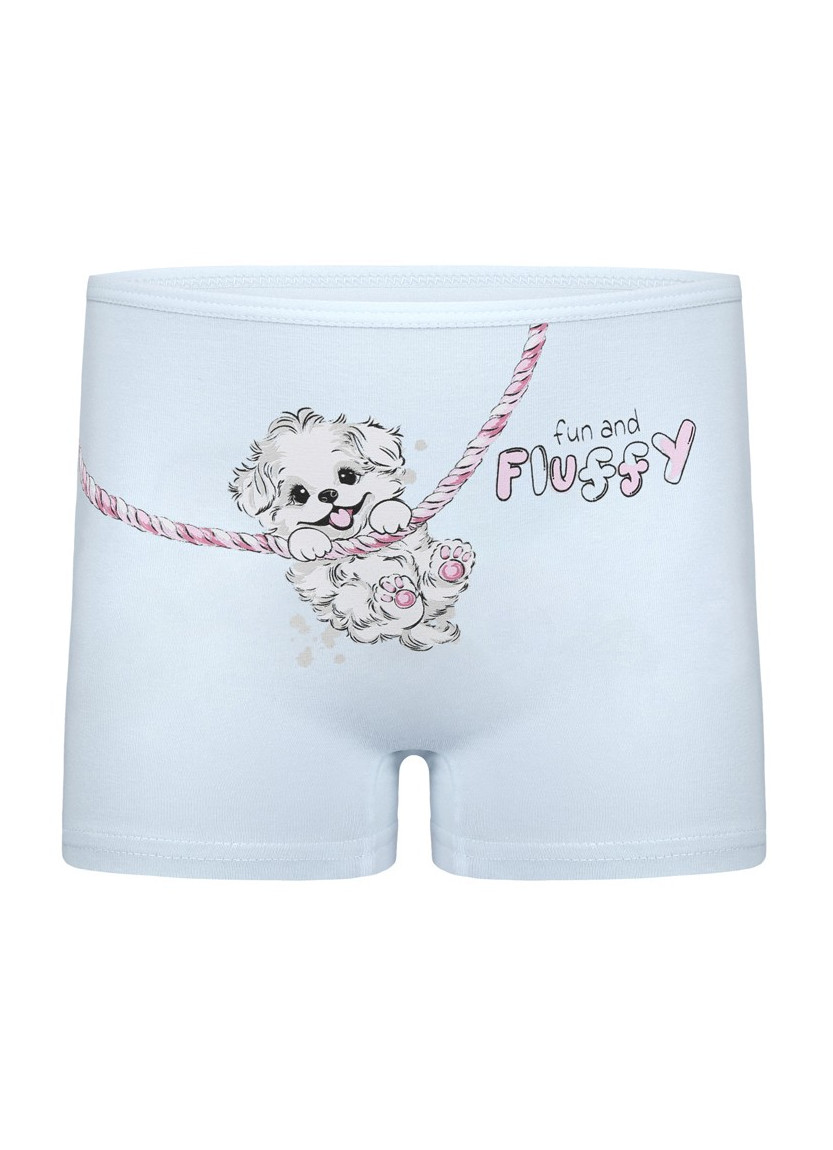 Donella 4271PB127 Assorted 10-Pack Girls' Briefs — Turkish textile wholesale